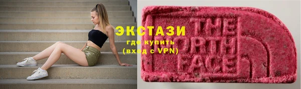 гидра Костерёво