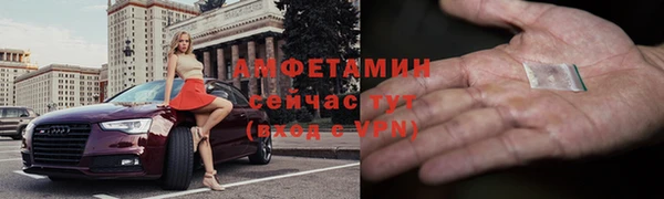 гидра Костерёво