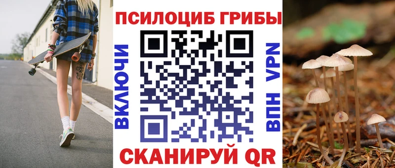 Галлюциногенные грибы GOLDEN TEACHER  Купить  Заринск 